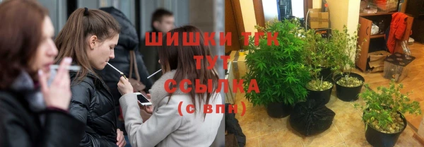 СК Аркадак