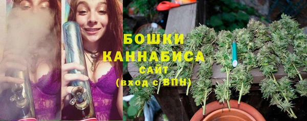 СК Аркадак