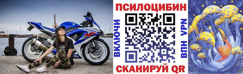 мега ССЫЛКА  нарко площадка клад  Багратионовск  Псилоцибиновые грибы GOLDEN TEACHER  дарнет шоп 